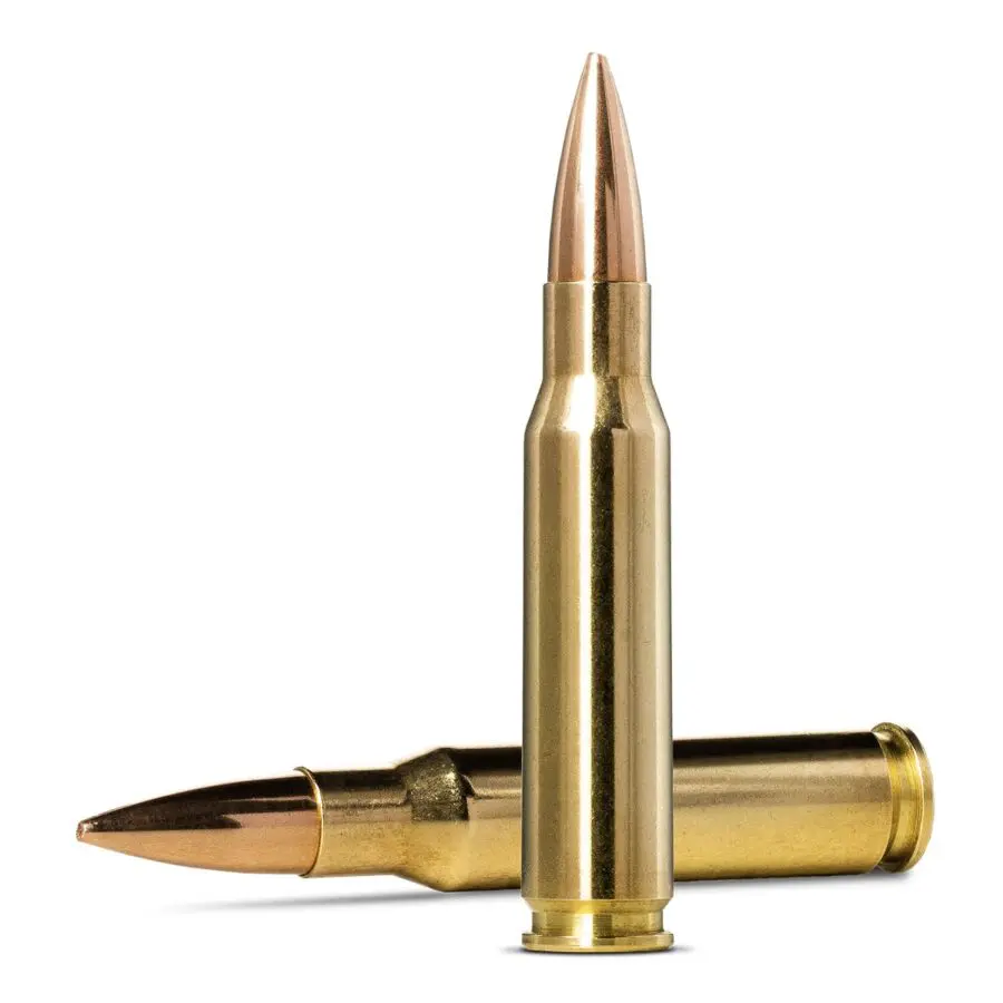 no.102 レッドエピドートとGoldのミニマム Norma 308 Winchester 175gr HPBT Golden Target (GTX) - Raven Rocks