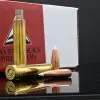 300 Win Mag AccuBond Bundle