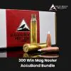 300 Win Mag Nosler AccuBond Bundle