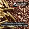 223 Rem Reloading Bundle - New Primed Brass and 55gr FMJBT