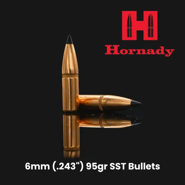 Hornady 6mm (.243") 95gr SST Bullets