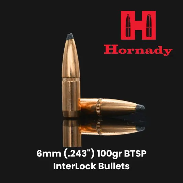 Hornady 6mm (.243") 100gr BTSP InterLock Bullets