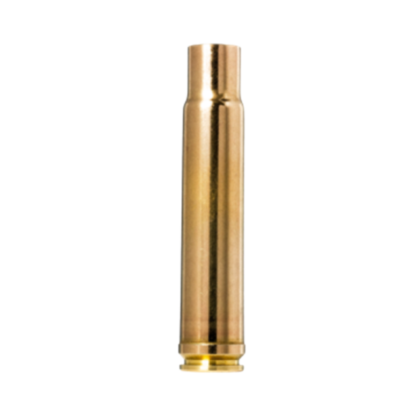 Norma 460 Weatherby Magnum (25 ct)
