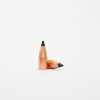 Nosler 30 Cal (.308") 110gr FB Tipped Varmageddon Bullets