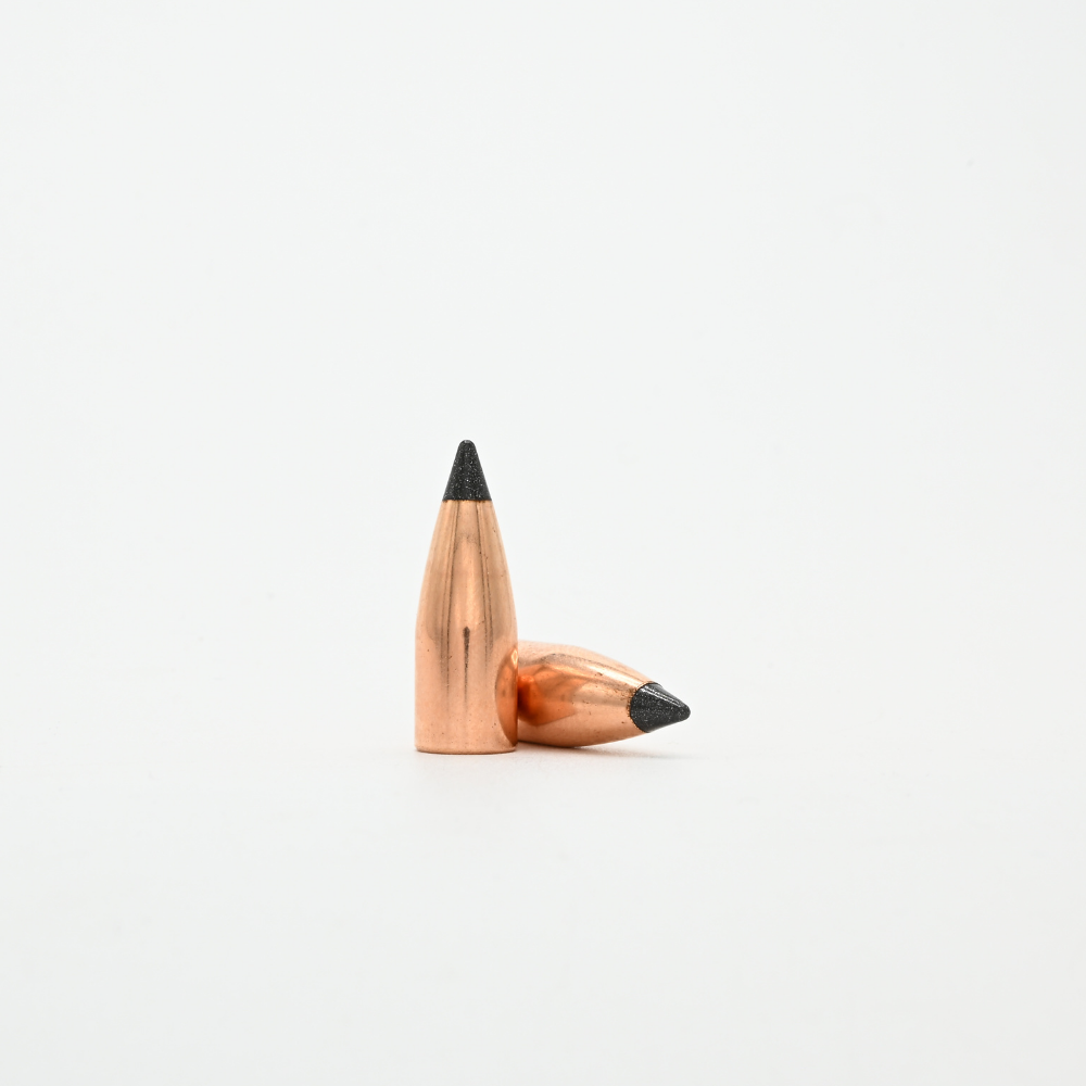 Nosler 30 Cal (.308") 110gr FB Tipped Varmageddon Bullets